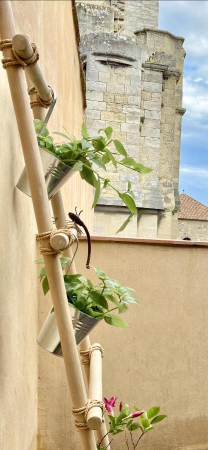 Trésors de la Cathédrale, Maison de Ville Narbonne Extérieur photo